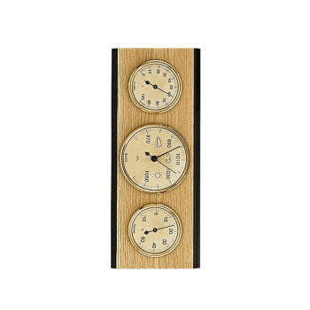 Weather Station 203096