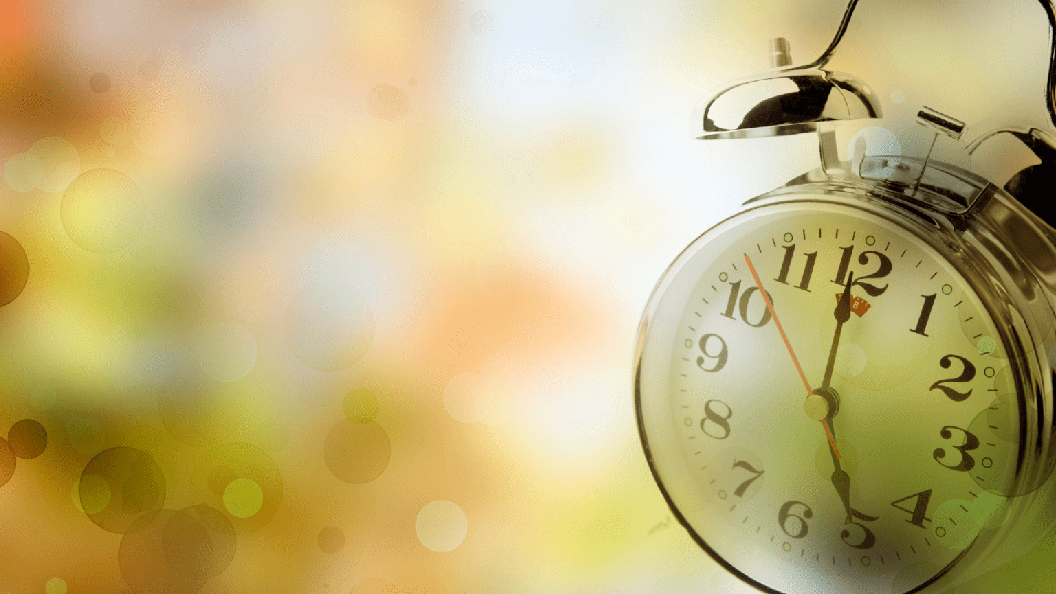 Inside a Windup Alarm Clock